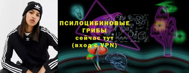 Псилоцибиновые грибы мухоморы  продажа наркотиков  Белозерск 